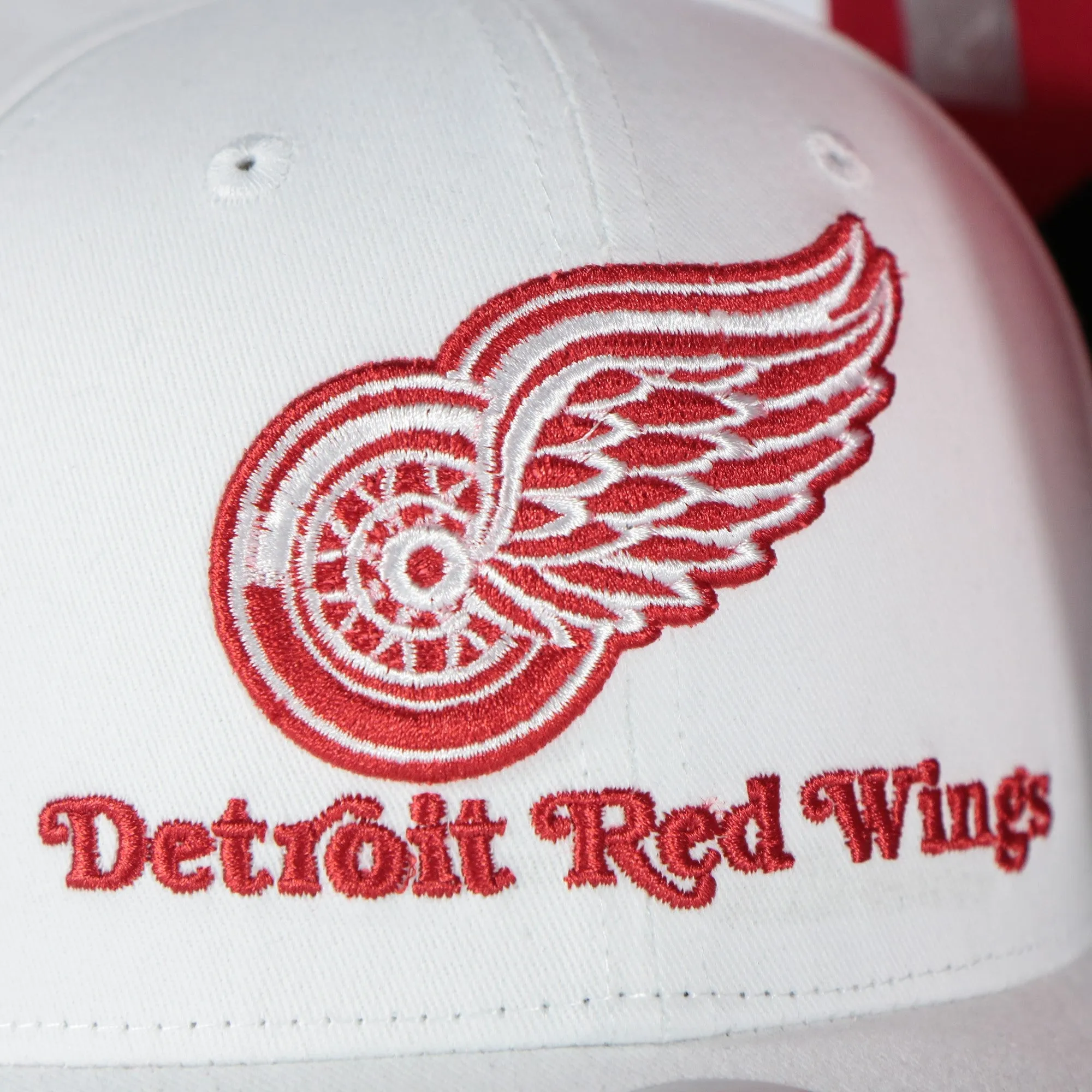 Detroit Red Wings NHL All in Pro Red Bottom | White Snapback Hat