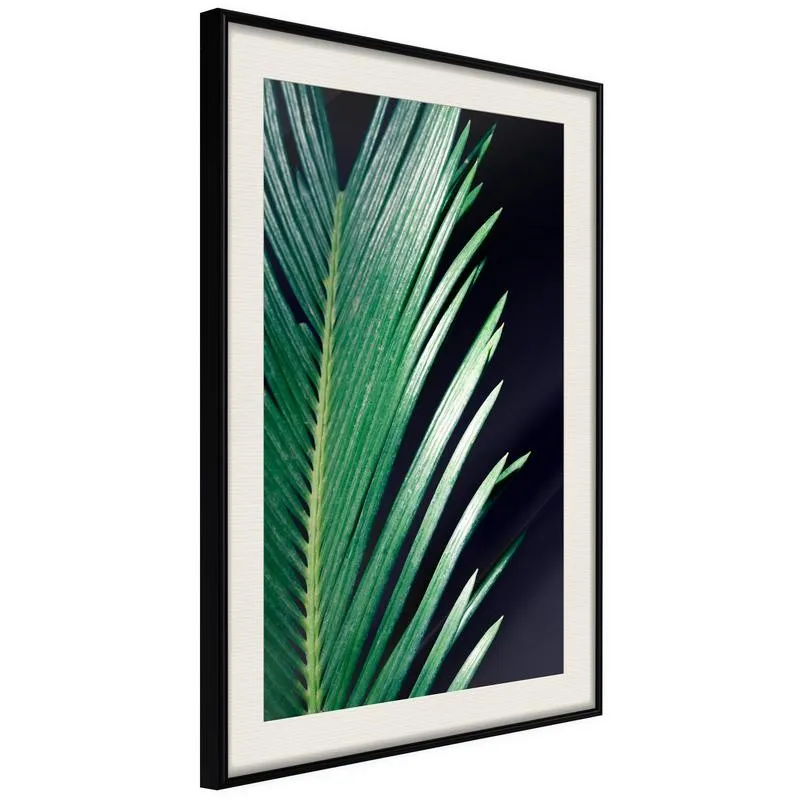 Poster Soothing Green